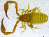  ( - BGE_00501_A03)  @11 [ ] Copyright (2024) Unspecified Croatian Biospeleological Society