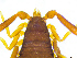  ( - BGE_00501_A04)  @11 [ ] Copyright (2024) Unspecified Croatian Biospeleological Society