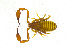  ( - BGE_00501_A04)  @11 [ ] Copyright (2024) Unspecified Croatian Biospeleological Society