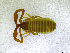  ( - BGE_00501_A05)  @11 [ ] Copyright (2024) Unspecified Croatian Biospeleological Society