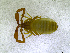  ( - BGE_00501_A05)  @11 [ ] Copyright (2024) Unspecified Croatian Biospeleological Society