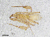  ( - BGE_00507_H10)  @11 [ ] Copyright (2024) Unspecified Croatian Biospeleological Society