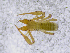  ( - BGE_00507_C03)  @11 [ ] Copyright (2024) Unspecified Croatian Biospeleological Society