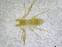  ( - BGE_00502_G07)  @11 [ ] Copyright (2024) Unspecified Croatian Biospeleological Society