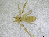  ( - BGE_00502_G07)  @11 [ ] Copyright (2024) Unspecified Croatian Biospeleological Society
