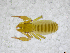  ( - BGE_00502_H07)  @11 [ ] Copyright (2024) Unspecified Croatian Biospeleological Society