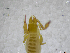  ( - BGE_00502_H08)  @11 [ ] Copyright (2024) Unspecified Croatian Biospeleological Society