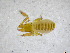  ( - BGE_00502_H08)  @11 [ ] Copyright (2024) Unspecified Croatian Biospeleological Society
