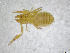  ( - BGE_00502_H08)  @11 [ ] Copyright (2024) Unspecified Croatian Biospeleological Society