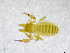  ( - BGE_00502_H09)  @11 [ ] Copyright (2024) Unspecified Croatian Biospeleological Society