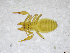  ( - BGE_00502_H09)  @11 [ ] Copyright (2024) Unspecified Croatian Biospeleological Society