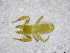  ( - BGE_00502_H10)  @11 [ ] Copyright (2024) Unspecified Croatian Biospeleological Society
