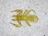  ( - BGE_00502_H10)  @11 [ ] Copyright (2024) Unspecified Croatian Biospeleological Society