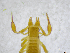  ( - BGE_00503_A03)  @11 [ ] Copyright (2024) Unspecified Croatian Biospeleological Society