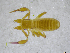  ( - BGE_00503_A03)  @11 [ ] Copyright (2024) Unspecified Croatian Biospeleological Society