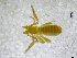  ( - BGE_00503_A05)  @11 [ ] Copyright (2024) Unspecified Croatian Biospeleological Society