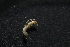  ( - BGE_00521_G04)  @11 [ ] Copyright (c) (2025) Unspecified Croatian Biospeleological Society