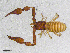  ( - BGE_00507_A07)  @11 [ ] Copyright (2024) Unspecified Croatian Biospeleological Society