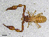  ( - BGE_00507_A07)  @11 [ ] Copyright (2024) Unspecified Croatian Biospeleological Society