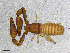  ( - BGE_00507_A08)  @11 [ ] Copyright (2024) Unspecified Croatian Biospeleological Society