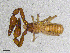  ( - BGE_00507_A08)  @11 [ ] Copyright (2024) Unspecified Croatian Biospeleological Society