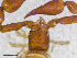  ( - BGE_00507_A09)  @11 [ ] Copyright (2024) Unspecified Croatian Biospeleological Society