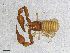  ( - BGE_00507_A09)  @11 [ ] Copyright (2024) Unspecified Croatian Biospeleological Society