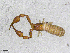  ( - BGE_00507_A12)  @11 [ ] Copyright (2024) Unspecified Croatian Biospeleological Society