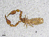  ( - BGE_00507_A12)  @11 [ ] Copyright (2024) Unspecified Croatian Biospeleological Society
