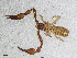  ( - BGE_00507_B03)  @11 [ ] Copyright (2024) Unspecified Croatian Biospeleological Society