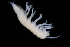  ( - BGE_00516_B10)  @11 [ ] CreativeCommons  Attribution (by) (2025) Jana Bedek Croatian Biospeleological Society