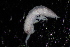  ( - BGE_00516_D04)  @11 [ ] CreativeCommons  Attribution (by) (2025) Jana Bedek Croatian Biospeleological Society
