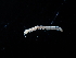  ( - BGE_00520_E03)  @11 [ ] Copyright (c) (2024) Unspecified Croatian Biospeleological Society