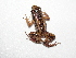  ( - AJC 3383)  @13 [ ] CreativeCommons - Attribution Non-Commercial Share-Alike (2011) Andrew J. Crawford Universidad de los Andes