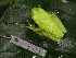  ( - AJC 3921)  @14 [ ] CreativeCommons - Attribution Non-Commercial Share-Alike (2011) Andrew J. Crawford Universidad de los Andes