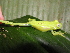  ( - AJC 3921)  @12 [ ] CreativeCommons - Attribution Non-Commercial Share-Alike (2011) Andrew J. Crawford Universidad de los Andes