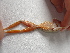  ( - AJC 4108)  @12 [ ] CreativeCommons - Attribution Non-Commercial Share-Alike (2011) Andrew J. Crawford Universidad de los Andes