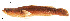  ( - stri-50)  @13 [ ] Unspecified (default): All Rights Reserved  Unspecified Unspecified