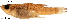  ( - stri-255)  @13 [ ] Unspecified (default): All Rights Reserved  Unspecified Unspecified