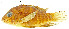  ( - stri-10952)  @13 [ ] Unspecified (default): All Rights Reserved  Unspecified Unspecified