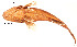  ( - stri-11214)  @12 [ ] Unspecified (default): All Rights Reserved  Unspecified Unspecified