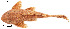  ( - stri-11239)  @14 [ ] Unspecified (default): All Rights Reserved  Unspecified Unspecified