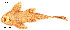  ( - stri-11239)  @13 [ ] Unspecified (default): All Rights Reserved  Unspecified Unspecified