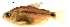  ( - stri-11491)  @14 [ ] Unspecified (default): All Rights Reserved  Unspecified Unspecified