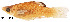  ( - stri-11542)  @13 [ ] Unspecified (default): All Rights Reserved  Unspecified Unspecified
