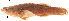  ( - stri-11623)  @12 [ ] Unspecified (default): All Rights Reserved  Unspecified Unspecified