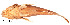  ( - stri-11623)  @14 [ ] Unspecified (default): All Rights Reserved  Unspecified Unspecified