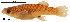  ( - stri-11705)  @14 [ ] Unspecified (default): All Rights Reserved  Unspecified Unspecified