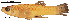  ( - stri-11707)  @14 [ ] Unspecified (default): All Rights Reserved  Unspecified Unspecified