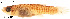  ( - stri-11725)  @13 [ ] Unspecified (default): All Rights Reserved  Unspecified Unspecified